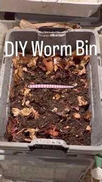 DIY a worm 🪱 bin with me! #diy #wormfarm #homestead #garden #soil