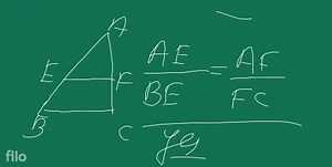 Let's learn. Basic proportionality theorem Theorem : If a line ... | Filo