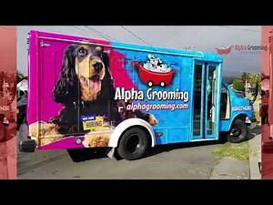 Mobile Cat Grooming in Palo alto CA | Call Now (800) 270-1365