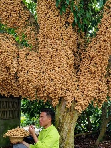 Top 10 Facts (@top10facts00)’s videos with original sound - Top 10 Facts