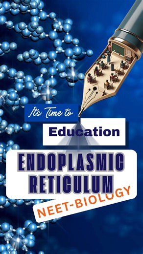 "The Protein Factory: Inside the Rough Endoplasmic Reticulum"  Dive...