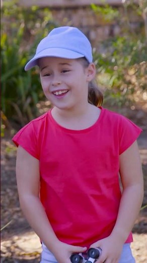 Odnajdźcie kadetów z Top Wing Ptasia Akademia! | Nick Jr. Polska