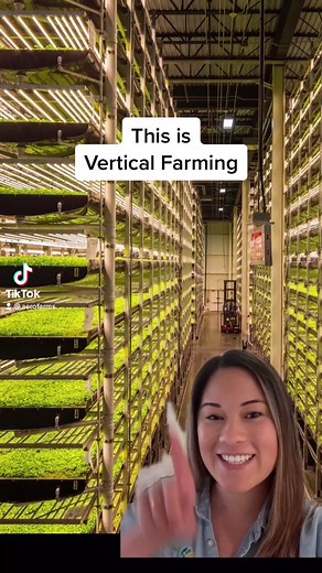 Revolutionizing Agriculture: The Future with Vertical Farming