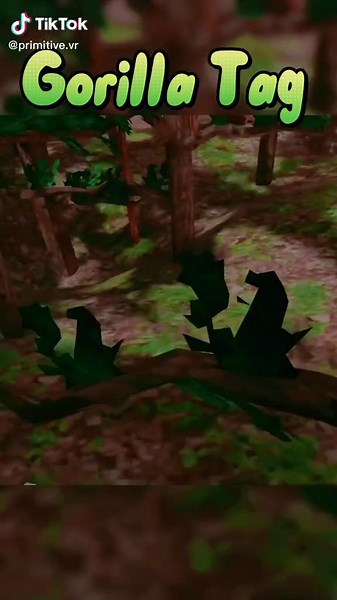 #vrml #gaming #echoarena #vr #gorrilatag #gtag #monketag #gorrilatagvr #metaverse #quest2 #echovr #esports #virtualreality #oculus clip not mine