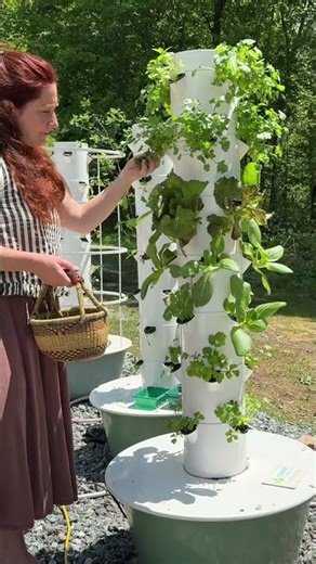 Vertical Aeroponic Gardens