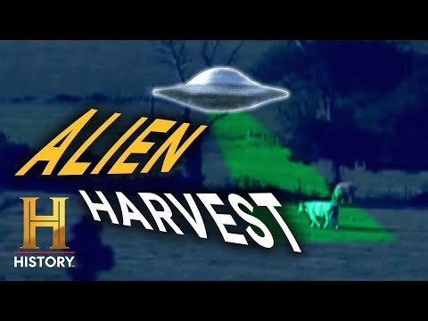The Mystery of Cattle Mutilations (S1, E1) | UFO Files | Full Episode