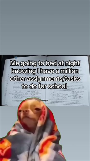 Managing Sleep Amid College Assignments