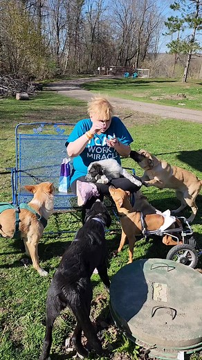 3.1K views · 449 reactions | Robyn gets to be the center of a puppy swarm! #emotionalrescuedogs #rescuedogs #dogrescue | Emotional Rescue LLC | Facebook