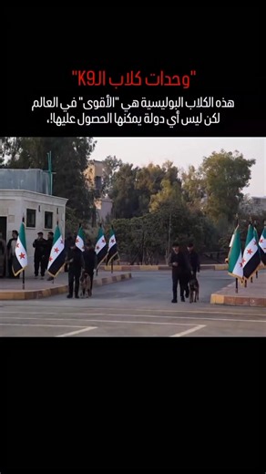 #k9 #creatorsearchinsights #سوريا #الامن العام #دمشق | k9 agent