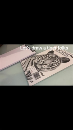 Let’s Draw a Tiger Together: Art Tutorial