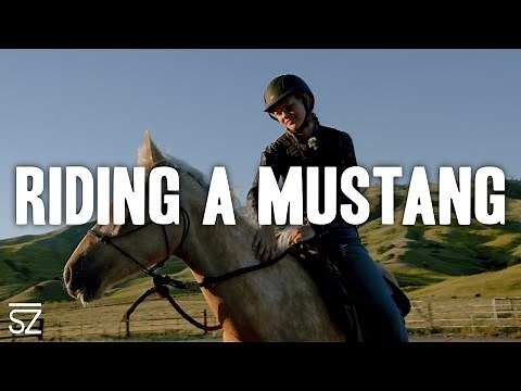 How to Train A Mustang: Halter Basics & First Ride Tips