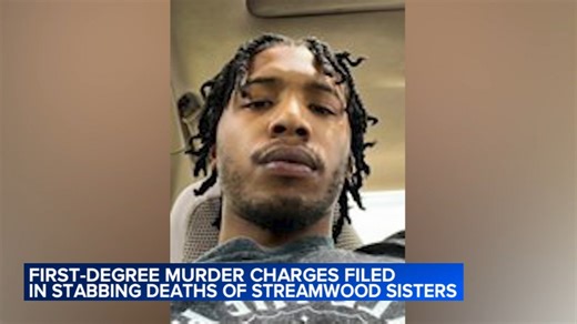 Suspect charged with murder in Streamwood stabbing of 2 sisters, police say
