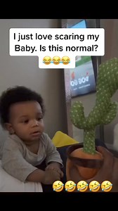 1.9K views · 13 reactions | Talking Cactus Toy Prank: Baby's Priceless Reactions Unveiled! | New Parents Centre | Facebook