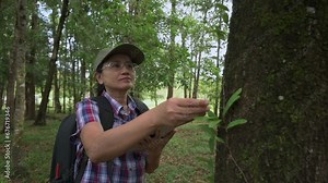 Asian woman ecologist working on digital tablet while examining the plant species that grow in tropical rainforest. Concept of environment and ecosystem. Biology activist.