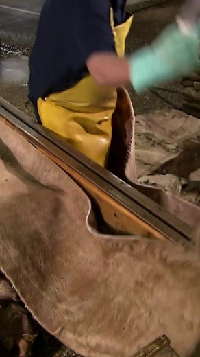 Slicing Hides: The First Step in Leather Making