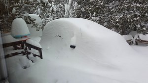 Blizzard Elsa surpasses Blizzard Evelyn for snow accumulation