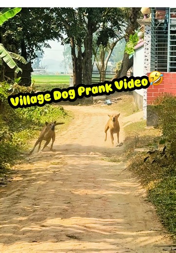 Village Drone Prank Takes Unexpected Turn With Angry Dog