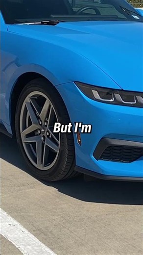 Why GT Mustang Owners Are Sensitive Around the EcoBoost 😂🏎️ #car #cars #mustang