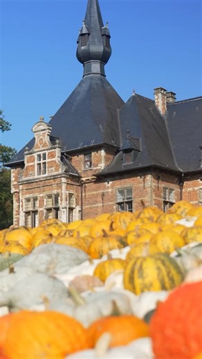 🎃 Step into the magical world of Pumpkimania! 🎪 From September 19 to November 2, the park of the Castle of Groot-Bijgaarden transforms into an autumn spectacle filled with pumpkins and Roman splendor. 👑 2025 Theme: The Romans! Marvel at sculptures of gladiators, Julius Caesar, and Roman columns – all beautifully decorated with thousands of pumpkins. 🎨 Weekend Workshop: Carve your own pumpkin! For kids and adults. Choose your pumpkin in our shop and use the carving tools provided on-site. 🚤 