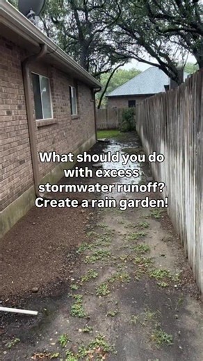 14K views · 119 reactions | This is your sign to plant a rain garden ️華 They absorb 30% more rainwater, filter pollutants, provide native plant habitat, and increase biodiversity. Would you want to plant one? #sustainability #gardening #sustainableliving #ecofriendly | Zerowastestore.com | Facebook