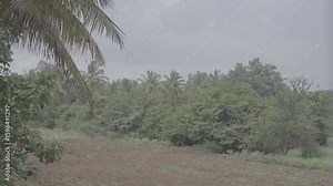 Slow motion rainfall with clouds and forest landscape Log Footage v1