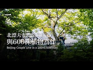 【EngSub】Beijing Couple Live in a 200㎡ Siheyuan together growing over 600 Species of Plant 北京夫妻在家造植物园