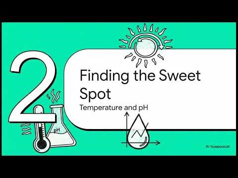 Biology: How Enzymes Speed Up Chemical Reactions