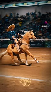 27K views · 397 reactions | Think SHE doesn't understand the game? She's a rule breaker but SO happily dedicated who faults her? Reckon Taylor Sheridan's Travis Weatley'd take this YellaGirl to Darby and beat the Dutton hands out of their cash? #Hooey #Resistol #Wrangler | Bronc Riding Nation | Facebook