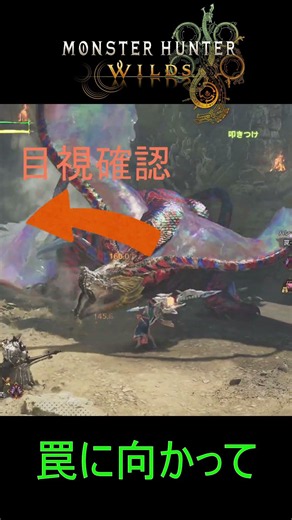 【孤高のぼっちガンサー】このゲームには忖度がある【MHWilds】
