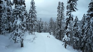 Ein Mädchenkutsch zusammen mit einer Studentin: Stockvideos & Filmmaterial (100 % lizenzfrei) 1111843373 | Shutterstock
