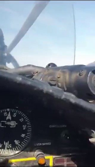 ياخي احتفاء الاخوة باي قوات اجنبية على ارضهم محتاج حد يشرحه ويوضحه ويفهمنا النفسيات هناك شكلها ايه والدنيا ماشية ازاي