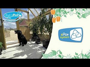 The 4Pot System From AutoPot Watering Systems
