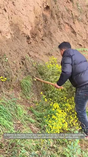Clearing Brush at a Steep Embankment Toe