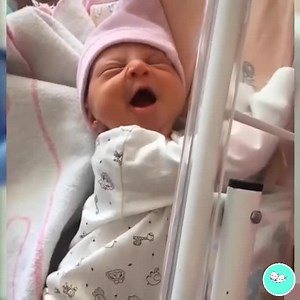 Newborn Babies Flutter Me🥰 😘🥰 😘 | Baby Newborn