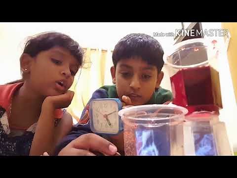 How to make a water clock