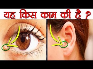 आपके शरीर के ऐसे अंग जो असल में उपयोगी हैं | Strange Body Parts You Have For Some Reason - FactTechz