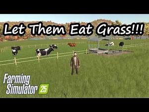 How To Fix Grazing in FS25