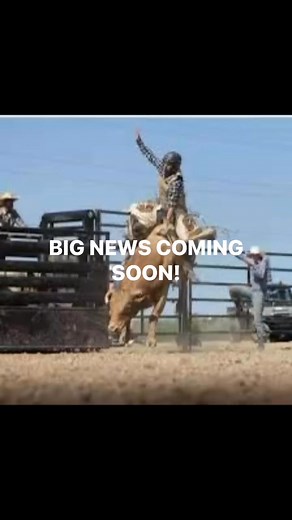 Stay tuned to see what we got cooking in the chuck wagon cow pokes | Willie's Restaurant