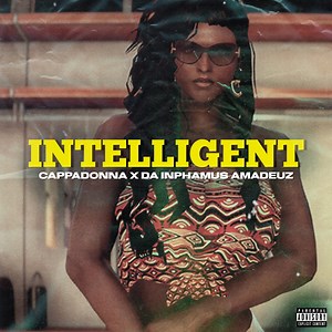 Intelligent - Cappadonna & Da Inphamus Amadeuz: Song Lyrics, Music Videos & Concerts