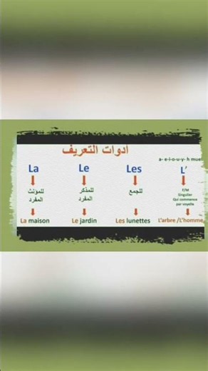 أدوات التعريف في الفرنسية le la les l شرح مبسط 2026
