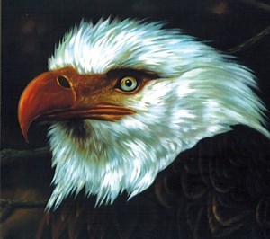 Mogwai - The Hawk Is Howling