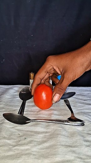 15 reactions | Can a Tomato Power an LED Bulb? Crazy Science...