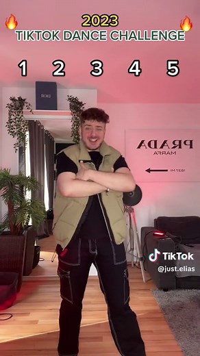 Top 5 TikTok Dance Challenges for 2023