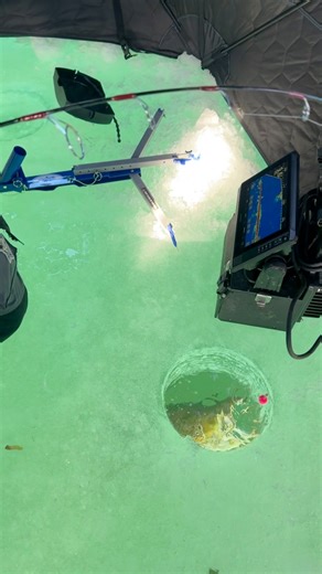 Capt. Nate was fun fishing and caught his PB Brown Trout tipping the scales at 25 lbs! | Casting For Christ