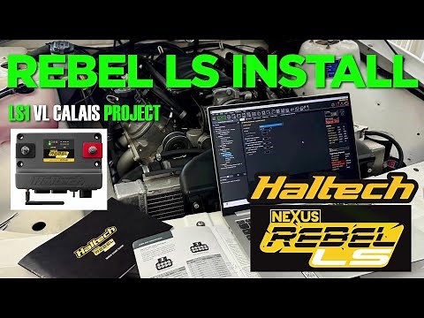 Haltech Rebel LS Install in an Early Commodore - LS1 VL Calais Project