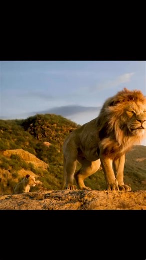 A true king searches for What he can give not what he can take. Simba and his father mufasa conversation #Safari #animal #wildlifephotography #tiger #love #instagood #wild #lionesslove #NatureMagic #wildsoul #simba | SM Global Prince Film Production