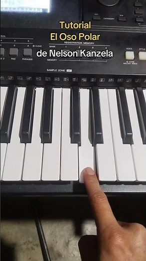 Tutorial - El Oso Polar 🐻‍❄️ de Nelson Kanzela #tutorial