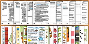 EYFS Maths: Counts Items in Irregular Arrangements Adult Input Planning and Resource Pack