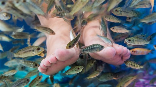'Fish pedicures' have gone viral on TikTok. Dermatologists are begging you not to get one.