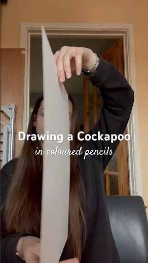 Drawing a cockapoo in coloured pencils✍🏼 #petportraits #howtodrawcockapoo #drawingdogs #dogartist